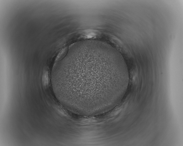 X0000111871442200908061244