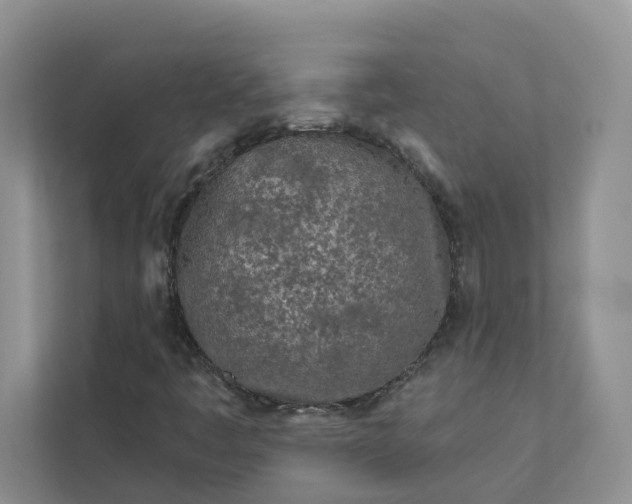 X0000111871445200908061244