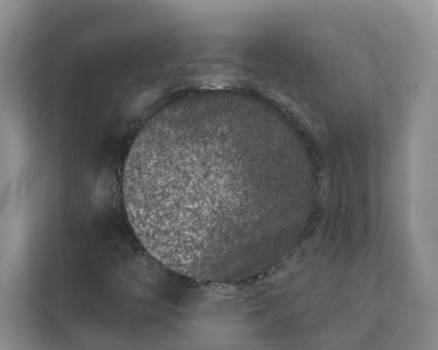 X0000111871446200908061244