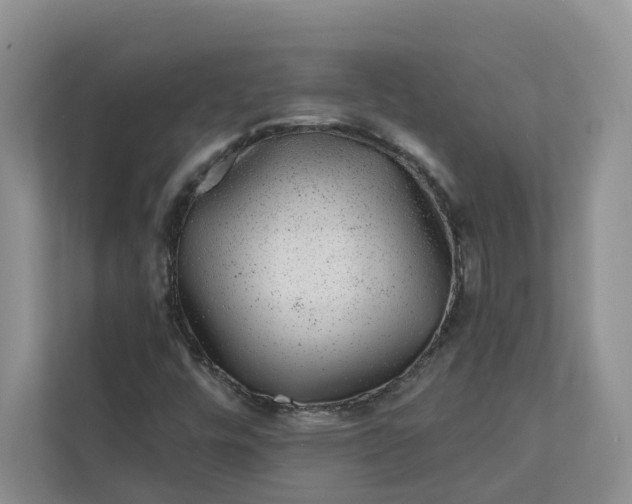 X0000111871448200908061244