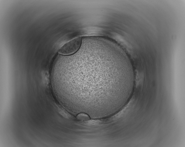 X0000111871449200908061244