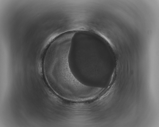 X0000111871455200908061244