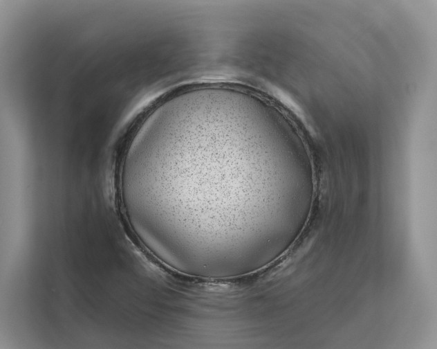 X0000111871456200908061244