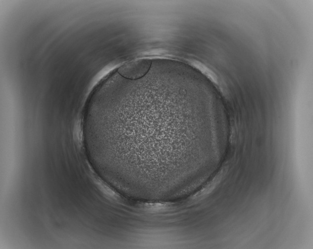 X0000111871458200908061244