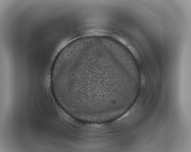 X0000111871459200908061244