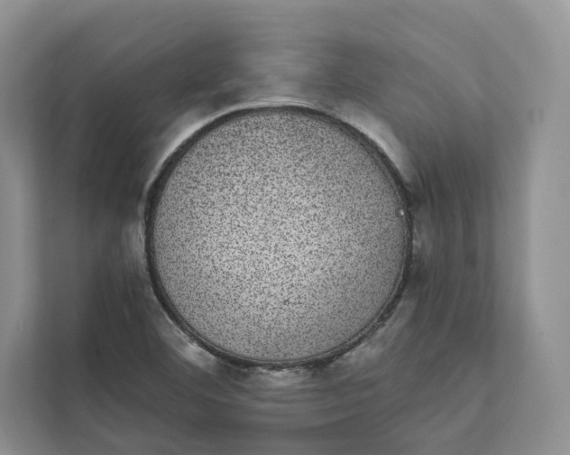 X0000111871460200908061244