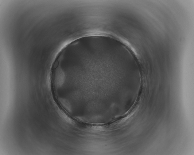 X0000111871463200908061244