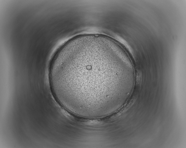 X0000111871464200908061244