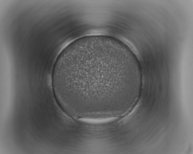 X0000111871465200908061244