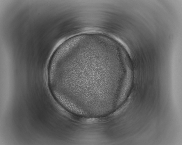 X0000111871467200908061244