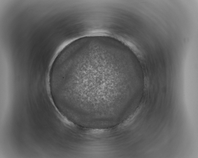 X0000111871470200908061244