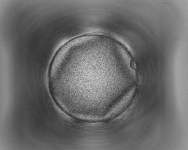 X0000111871471200908061244