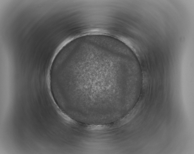 X0000111871474200908061244