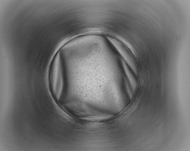 X0000111871475200908061244