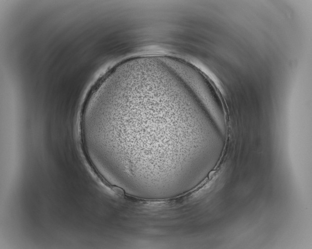 X0000111871477200908061244