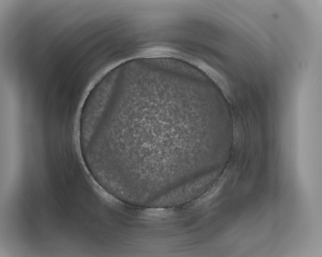 X0000111871478200908061244