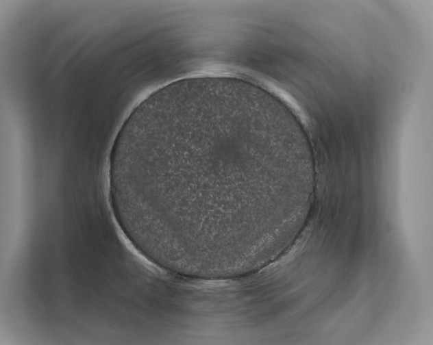 X0000111871479200908061244