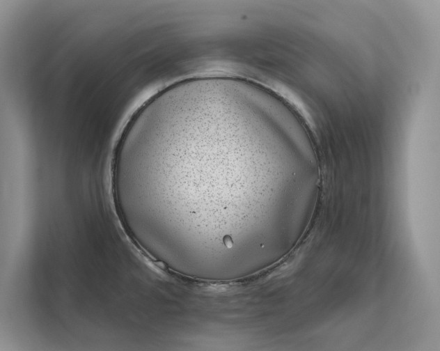 X0000111871480200908061244