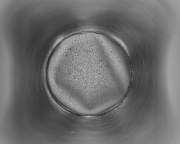 X0000111871483200908061244