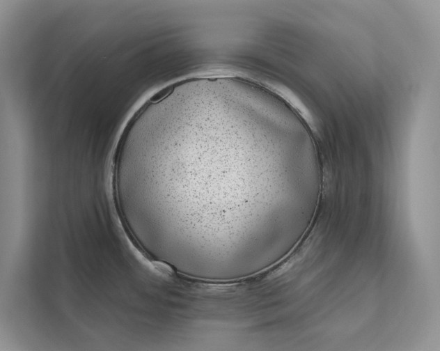 X0000111871484200908061244