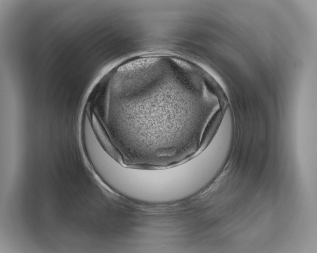 X0000111871485200908061244