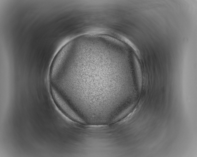 X0000111871487200908061244