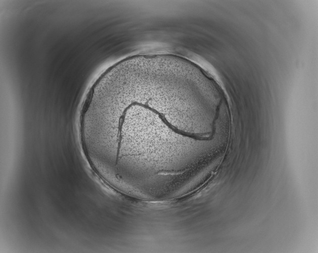 X0000111871488200908061244