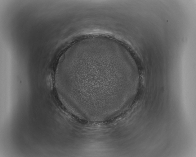 X0000111871493200908061243