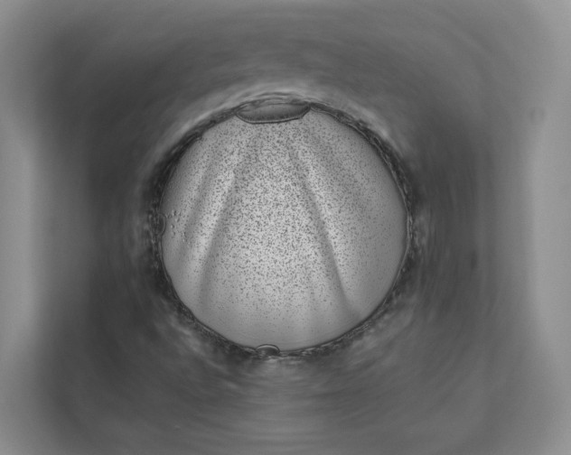 X0000111871496200908061243