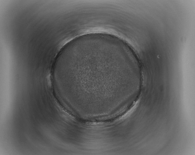 X0000111871497200908061243