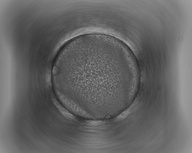 X0000111871499200908061243