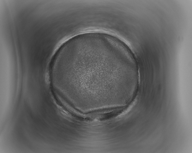 X0000111871501200908061243