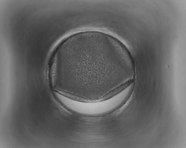 X0000111871502200908061243