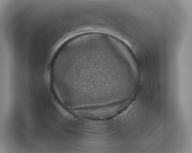 X0000111871503200908061243