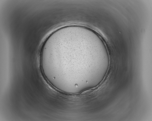 X0000111871504200908061243