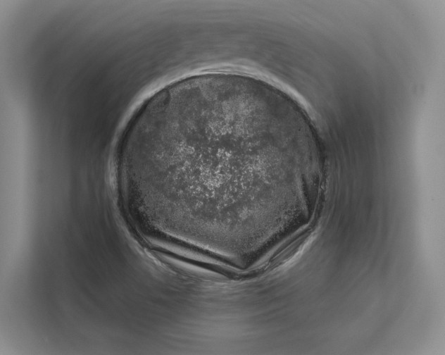 X0000111871506200908061243