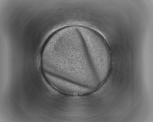 X0000111871507200908061243