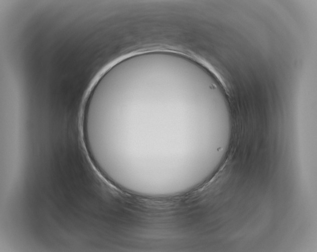 X0000111871508200908061243