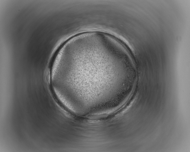 X0000111871509200908061243