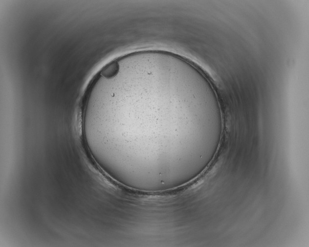 X0000111871510200908061243