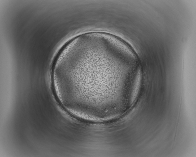 X0000111871511200908061243