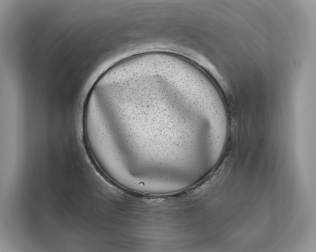 X0000111871512200908061243