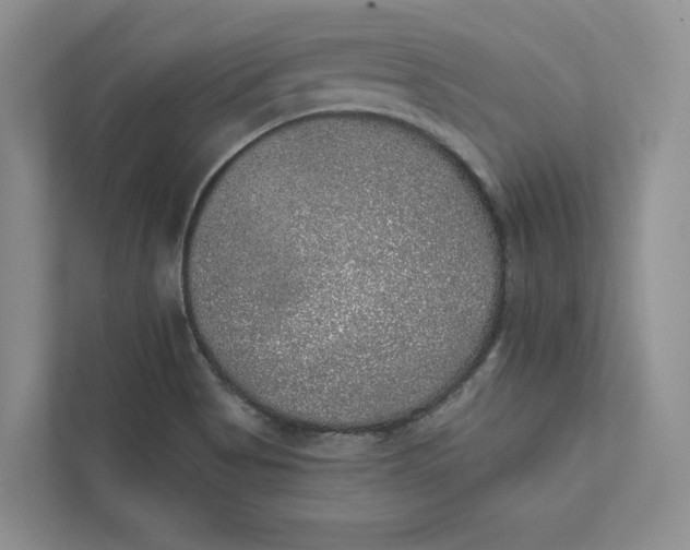 X0000111871513200908061243