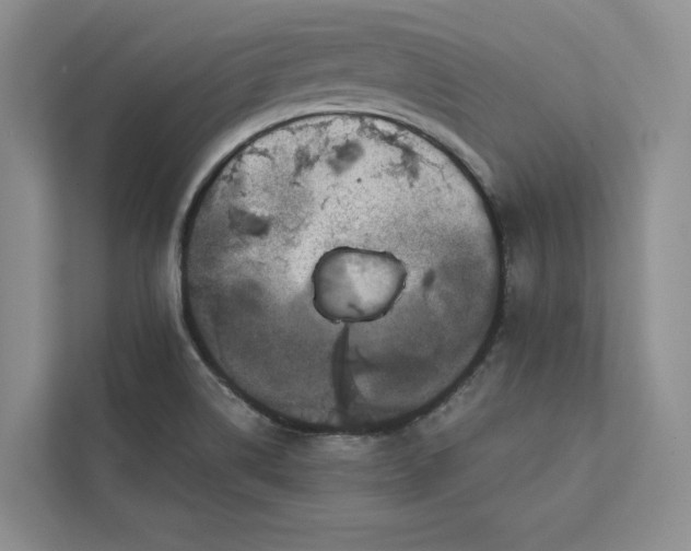 X0000111871514200908061243