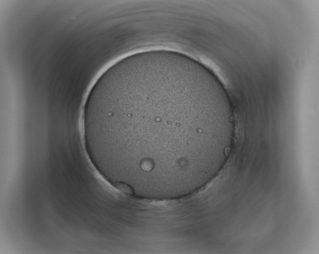 X0000111871516200908061243