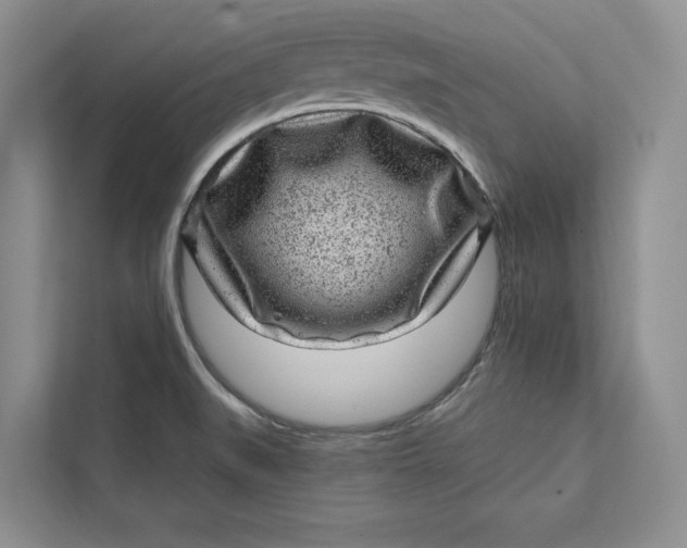 X0000111871519200908061244