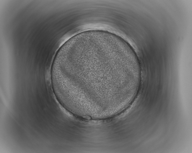 X0000111871521200908061244