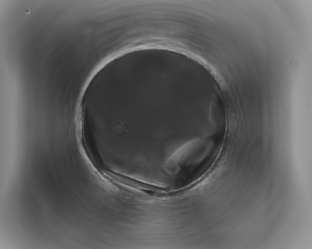 X0000111871522200908061244