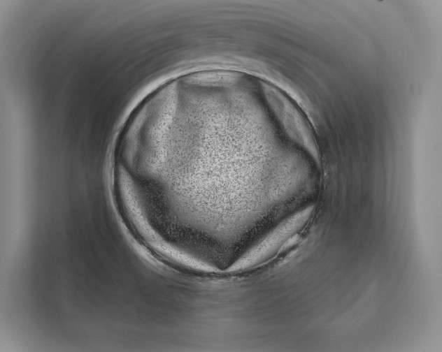 X0000111871523200908061244