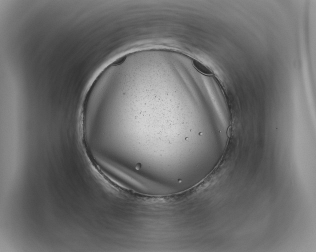 X0000111871524200908061244